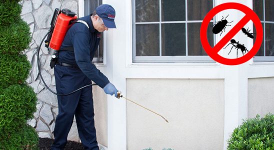 Payas Gümüşkurt İlaçlama böcek ilaçlama ve haşere kontrolü — ilaclama-tr.com